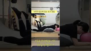 임신중에도 애플힙 가능!! (with 고프론) #고프론#임산부운동#임산부필라테스#임산부하체#임산부