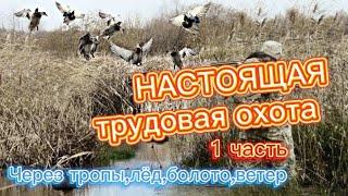 НАСТОЯЩАЯ ТРУДОВАЯ ОХОТА НА УТКУ/ОХОТА КАК ЕСТЬ/ОТКРЫТИЕ ОСЕННЕЙ ОХОТЫ НА УТКУ 2020/2021/АРХИВ