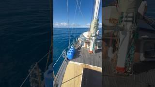 Did a buoy run with my buddy today on a classic Tayana sailboat. Should I buy this?