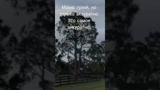 Я же не один так гулял  #meme