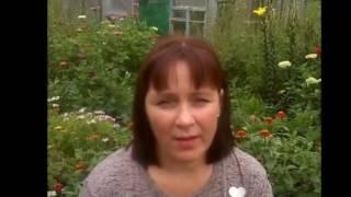 Ирина Юсупова Wellness прокачка Для чего мне этот проект