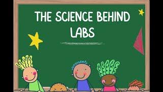 The Science Behind Labs: Ethics and Excellence