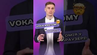 VOKA Anatomy Pro – унікальний 3D-каталог анатомії #VOKAAnatomy #3DАнатомія #Медицина #Анатомія