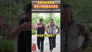 何家劲同款核桃桑葚芝麻丸，618福利赶紧冲！ #何家劲 #一代人的回忆 #主打的就是一个真实 #劲家庄 #黑芝麻丸