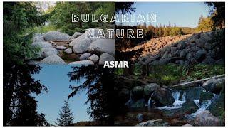 ASMR Nature Walk in Bulgaria, Vitosha Mountain️ Soft Spoken