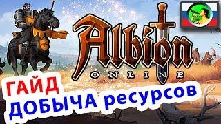 Albion Online ГАЙД добыча ресурсов @ sandbox MMORPG