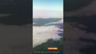 Insight The Flight #shorts #viral #youtubeshorts #video | Beautiful View | NATURE RELAXATION MOVIES