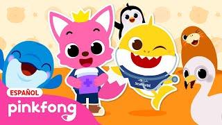 Pinkfong Tiburón Bebé x SeaWorld｜¡Feliz, Feliz SeaWorld!｜Canciones Infantiles｜Pinkfong en español