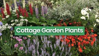 30 Essential Cottage Garden Plants Selected by Rosy Hardy