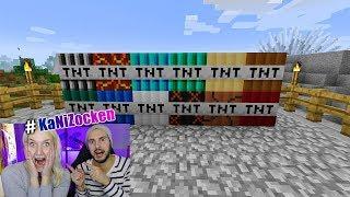 NINA REAGIERT AUF TNT MOD - Minecraft Welt komplett zerlegt #KaNiZocken | Überleben das die Tiere?