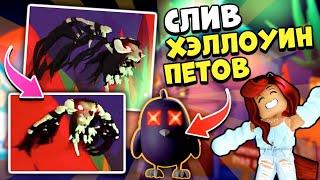 ПОКАЗАЛИ Новых ХЭЛЛОУИН ПЕТОВ в Адопт Ми!Секреты ОБНОВЫ Adopt Me Roblox