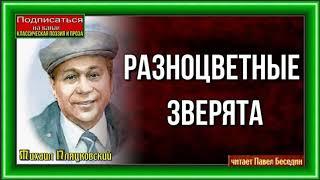 Разноцветные зверята— Михаил Пляцковский — читает Павел Беседин