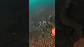 Catch of the Day: Northern Pike Fishing Adventures #fishing