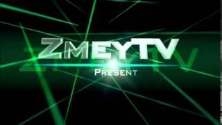 заставка канала zmeyTV