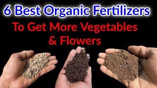 6 Organic Fertilizers For plants to get more Vegetables and flowers / organic Fertilizers