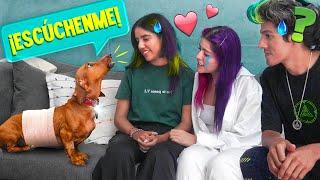 NUESTRO PERRO HABLA POR PRIMERA VEZ | LOS POLINESIOS VLOGS