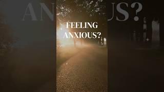  Positive Affirmations for Anxiety & Stress Relief  || Doll Life Affirmations