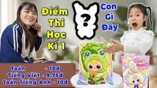 Món Quà Bất Ngờ Từ Hàn Quốc