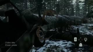 Big buck in Deer Hunting Camp