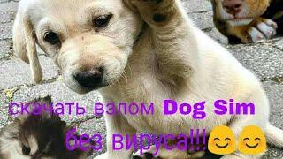 Скачать взлом Dog Sim