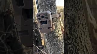 My 2 Cents In 60 Seconds. The Moultrie Edge Cellular Trail Cam. @MoultrieMobile