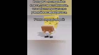 Губка Боб флексит