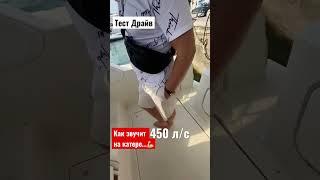 Катер & Яхта 450 л.с тест драйв на скорость #shorts #жекатв #яхта #мощь