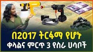 በ2017 ብሰሩ ትርፋማ የሆኑ ምርጥ 3 የስራ ሀሳቦች |Top 3 business ideas| small business ideas|Gebeya Media|business