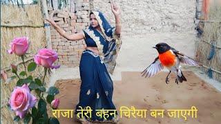 Raja Teri bahena chiraiya ban jayegi #Savitri dancer#long video#lovesong