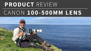 Canon 100-500mm lens product review- birds in flight.