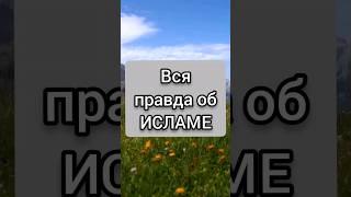 Вся правда об ИСЛАМЕ #правда #ислам #коран #истина