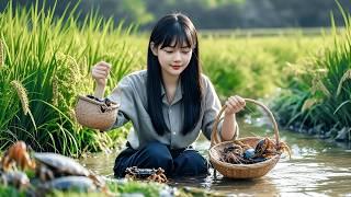 The Beauty of a Farmer, Hardworking in Catching Shrimp and Crabs for Food | Nguyễn Lâm Anh