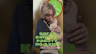 Лайк и комментарий от каждого, кто узнал в этом видео себя #юмор #врек #youtubeshorts #котики