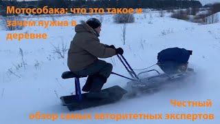 Мотособака "Альбатрос": 20-минутный обзор и ответы на основные вопросы