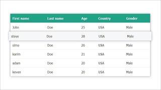 Responsive Stylish Hoverable Table Using HTML & CSS