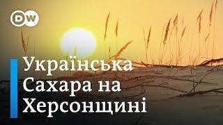 "Візерунок дня": "Олешківські піски": унікальна пустеля у серці України (19.10.2018) | DW Ukrainian