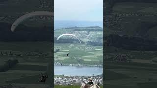 #rigi