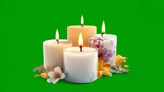 candle green screen no copyright | candle light dinner background video