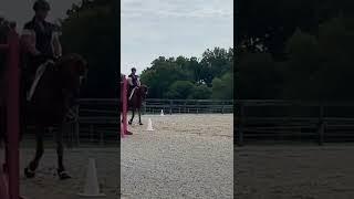 Flying changes every 4 strides