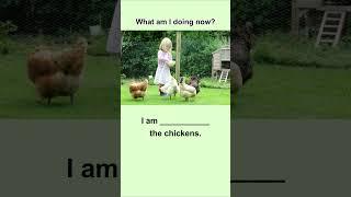 Learn English Everyday