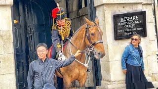 Get Your Hands OFF MY HORSE!