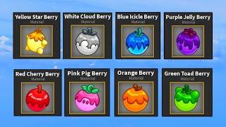 All Berry Spawn Locations in Blox fruits (First sea/2nd Sea/ Third sea) blox fruits berries