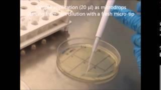 SP-SDS: A Simple technique for microbial CFU enumeration