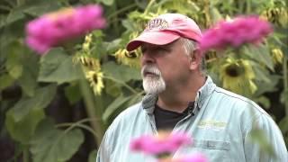Timber Jim in retirement
