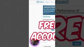 Use GT Metrix to find speed issues on your Shopify Store (gtmetrix tutorial)