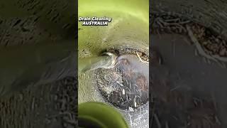 AN EXPLOSIVE BLOCKED DRAIN