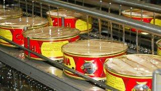 How Is Canned Tuna Made? Amazing Modern Canned Tuna Production Process!