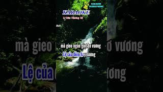Karaoke lý sâm thương 02, dây kép