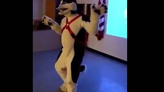 Tenkai Husky Dancing