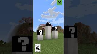 HAVE YOU SEEN THESE BLOCKS IN MINECRAFT?